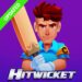 wicket cricket game