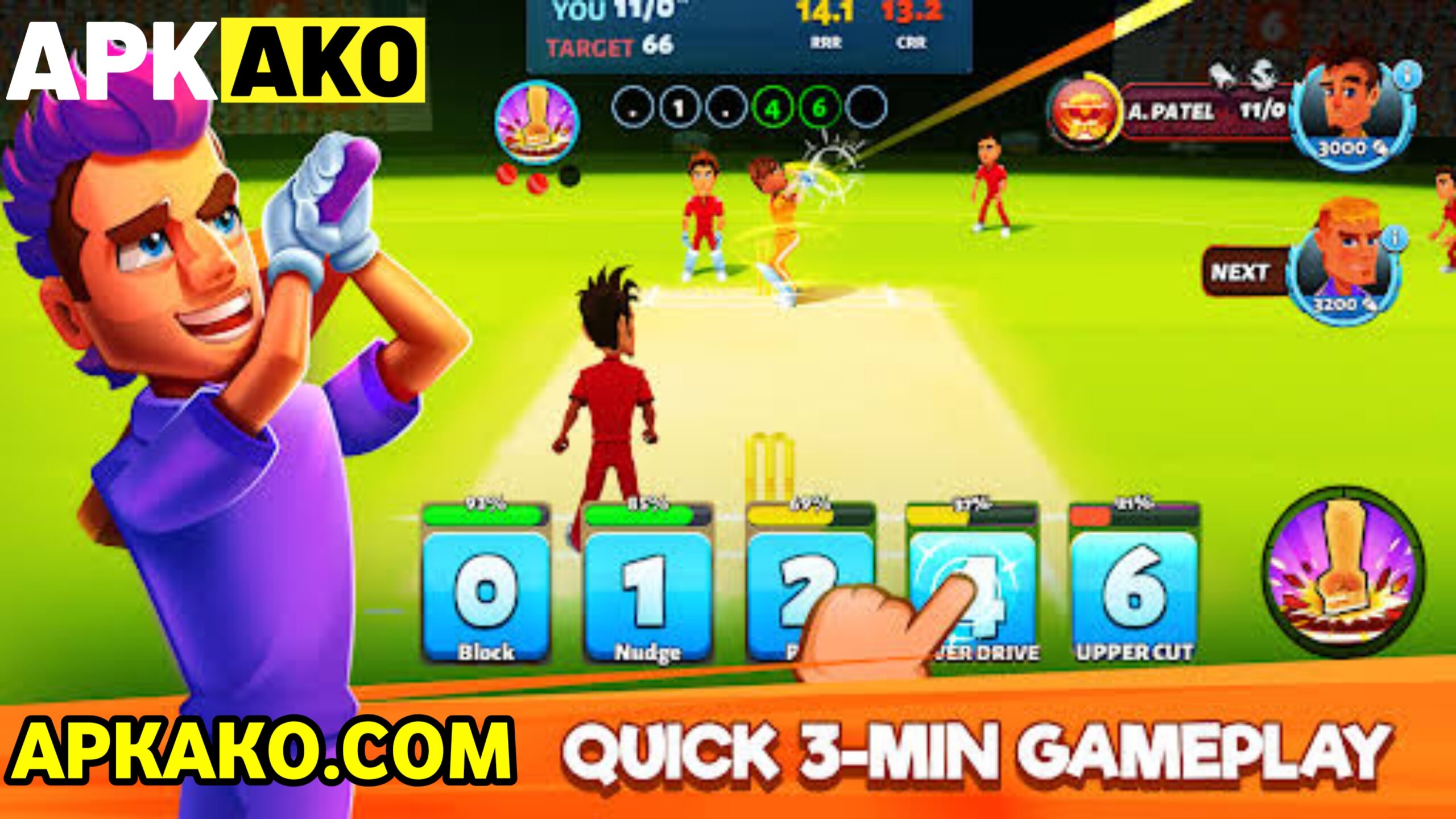 wicket cricket game