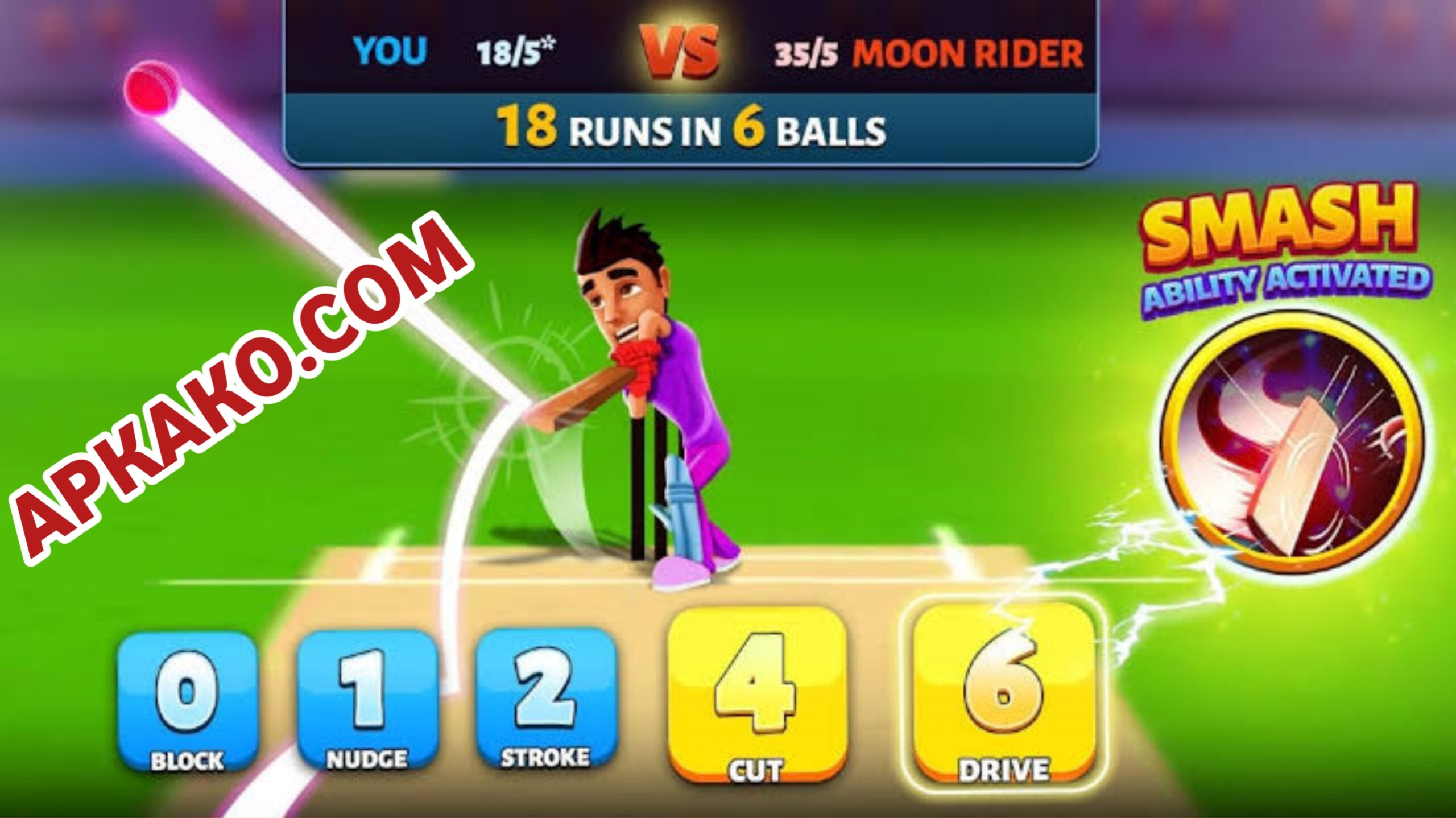 wicket cricket game